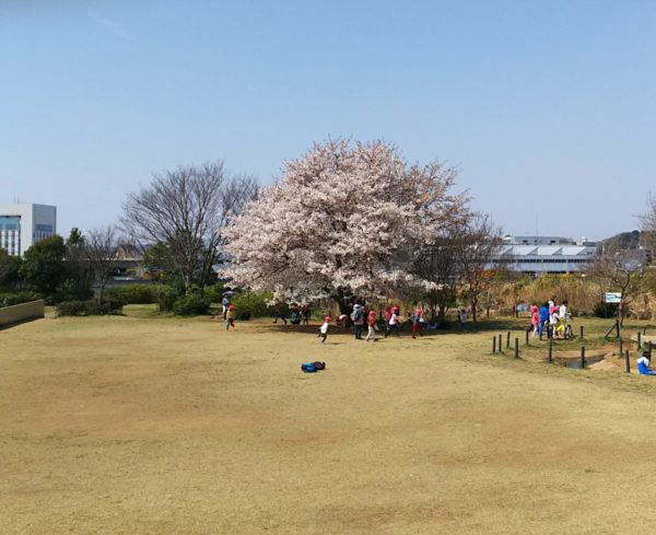 太尾南公園