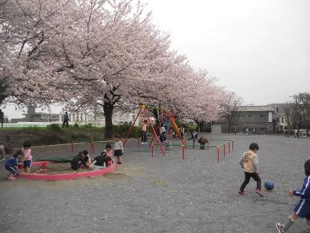 日吉六丁目鏡ヶ淵公園