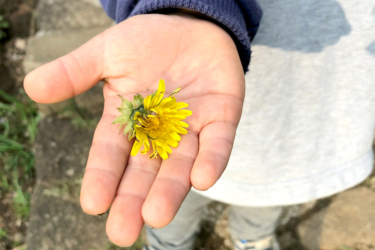 発達が気になったら