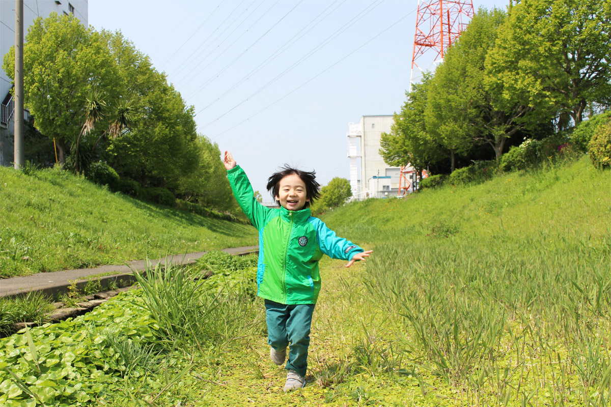 みんなからの情報