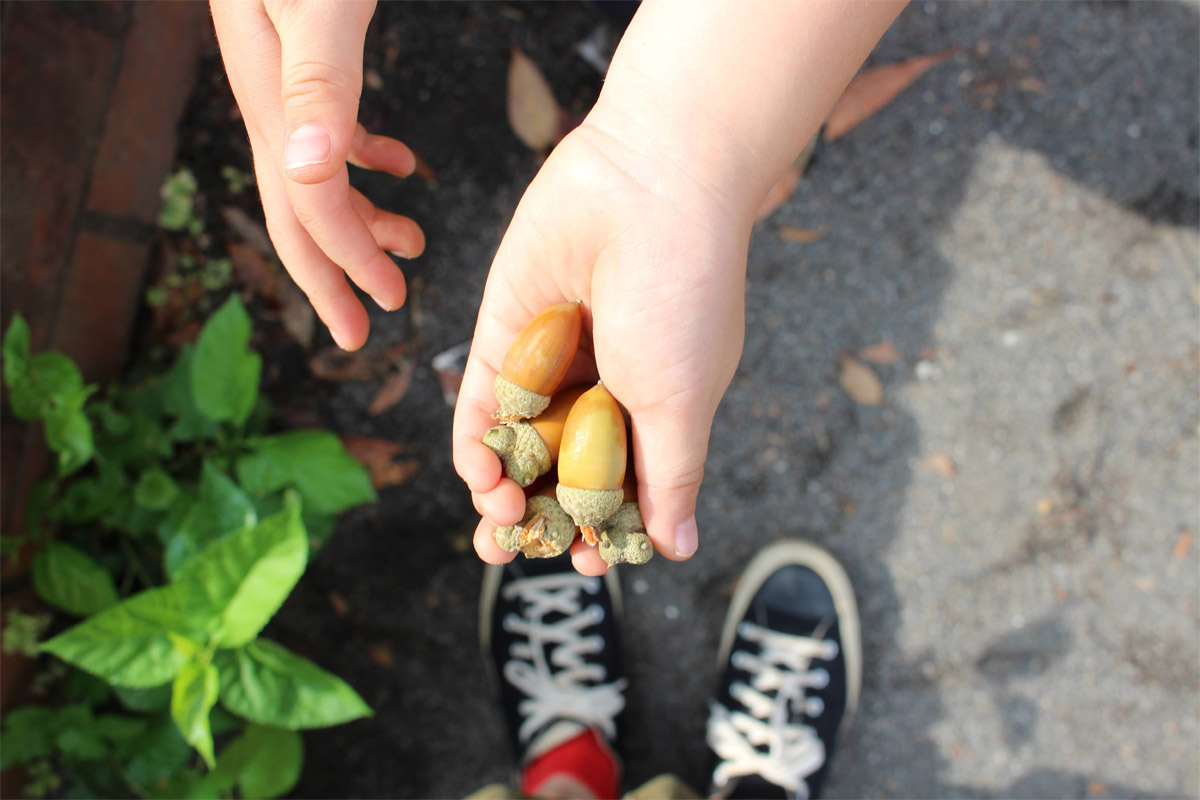 障害児地域訓練会