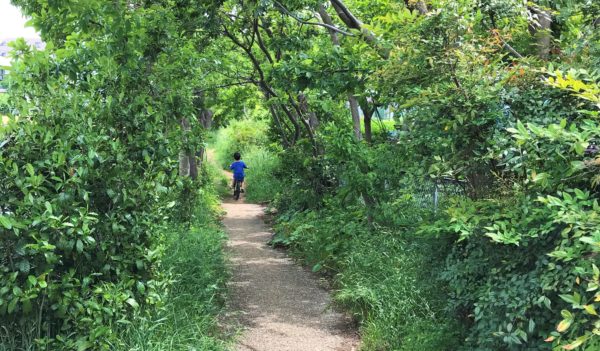 松の川緑道