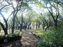 菊名桜山公園