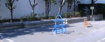 樽町札之下公園