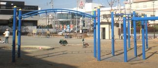 樽町しょうぶ公園