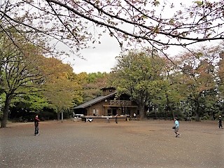 綱島公園こどもログハウスモッキー