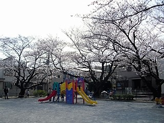 綱島西六丁目公園