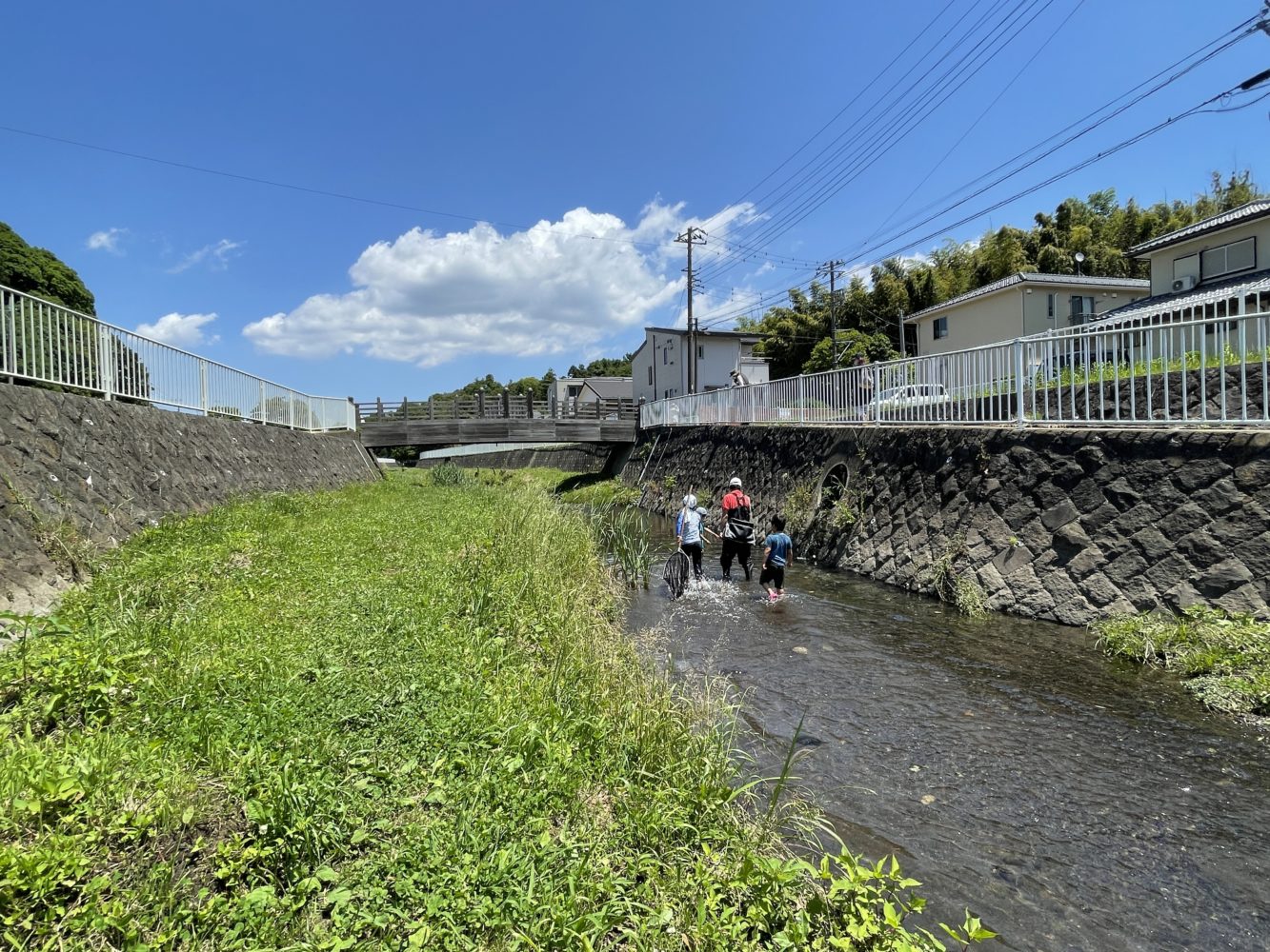 瀬谷いきもの観察会03