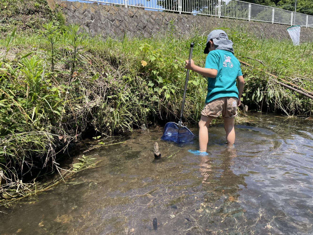 瀬谷いきもの観察会02