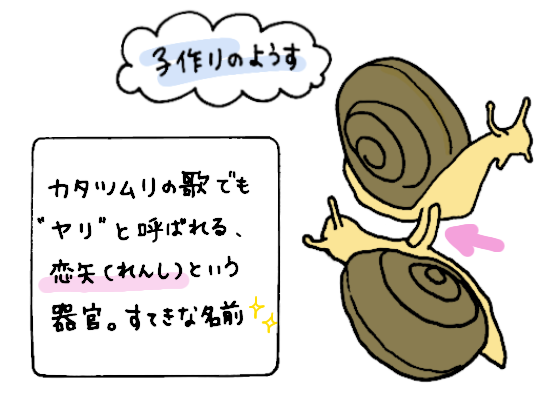 かたつむりイラスト2