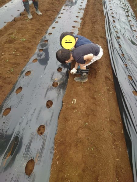 家族で農業体験講座へ