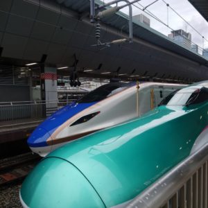 新幹線をみるために東京駅まで行きました