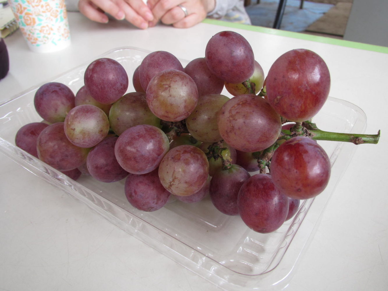 ぶどう
