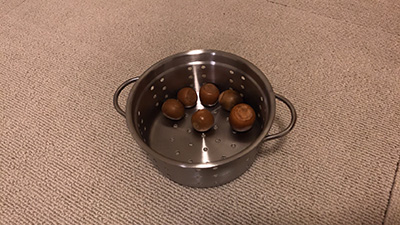 どんぐりをおもちゃ代わりにしている写真