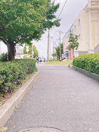 緩やかですが決して楽ではない上り坂