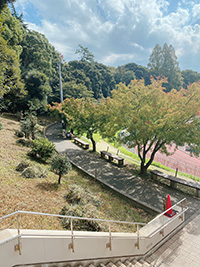 グラウンド付近の遊歩道とベンチ