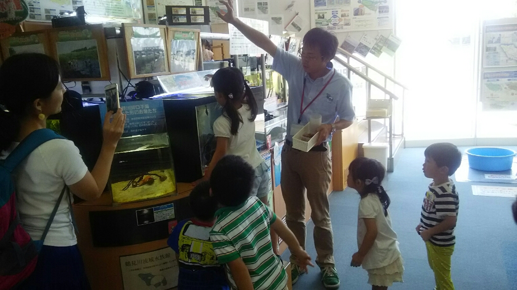 おさかなへのえさやり体験2