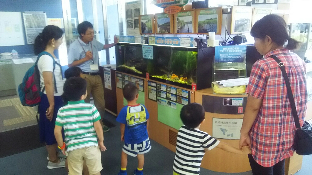 おさかなへのえさやり体験1