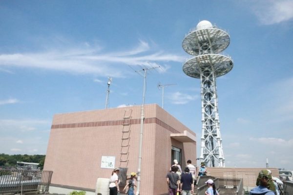 鶴見川多目的遊水地