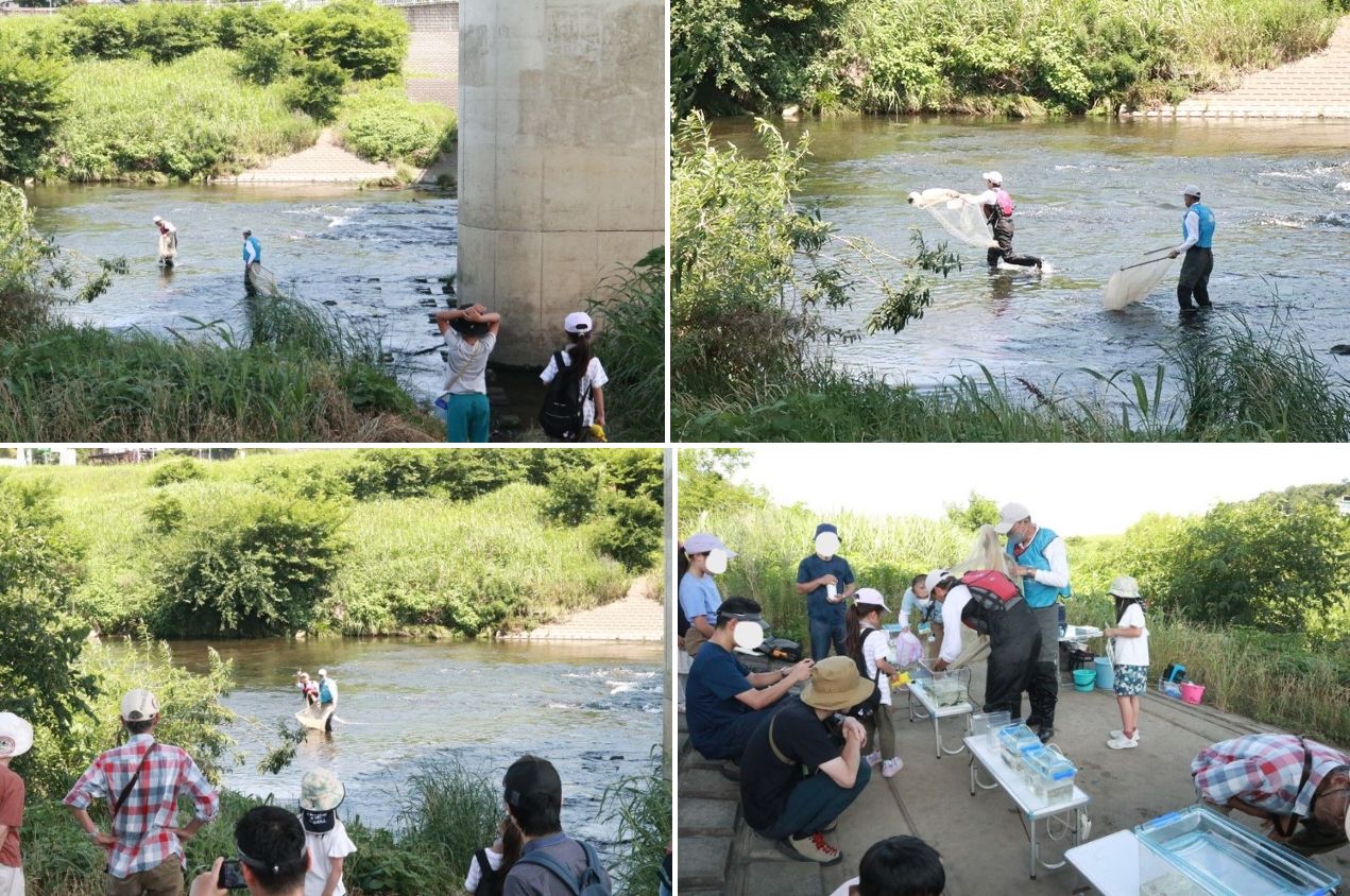 鶴見川多目的遊水地
