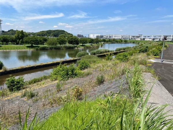 鶴見川多目的遊水地