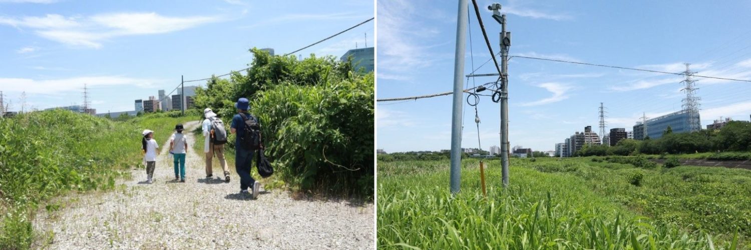鶴見川多目的遊水地