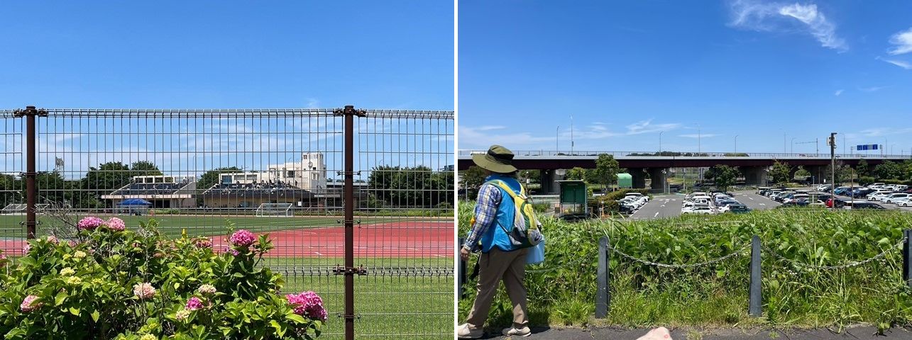 鶴見川多目的遊水地
