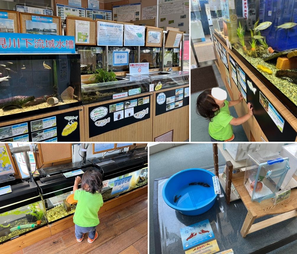 鶴見川多目的遊水地