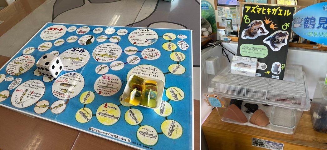 鶴見川多目的遊水地