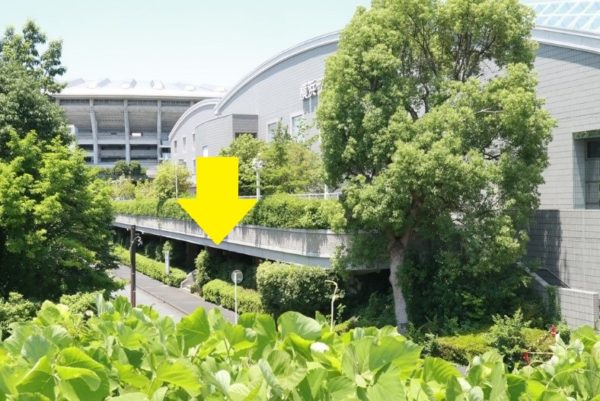 鶴見川多目的遊水地