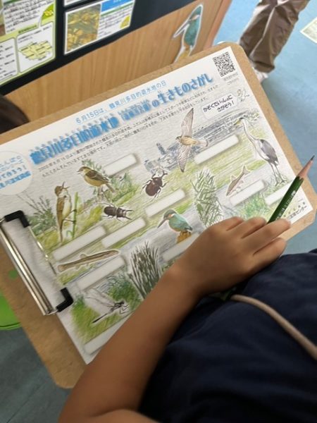 鶴見川多目的遊水地